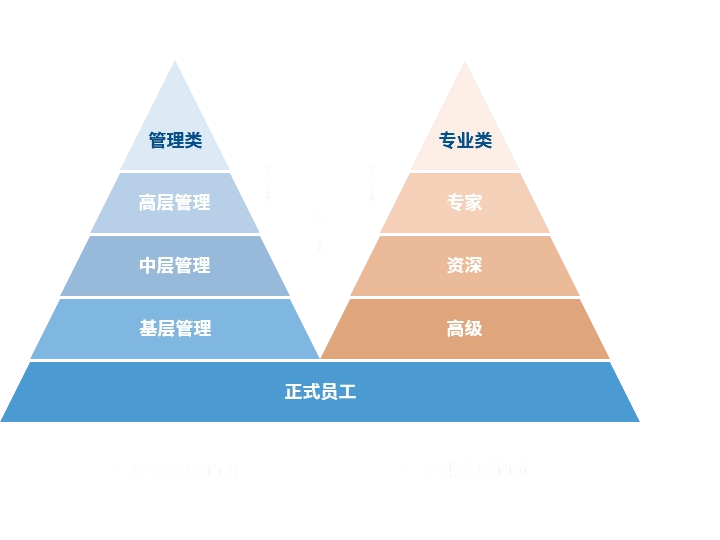极速电竞 